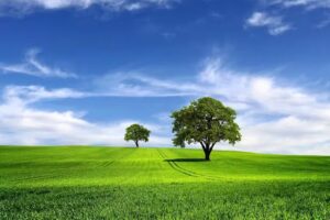 HOSPEDAJE DE LA CRUZ