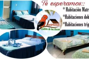 Hospedaje Gallito de las Rocas