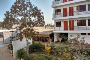 Hospedaje «Los Pinos»