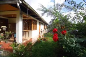 Hospedaje Pinky Lodge