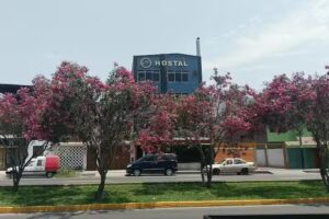 Hostal EL SOL LA MOLINA