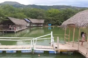 Hostal Real Suit’s