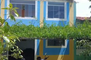 Hotel campestre EL PARAÍSO