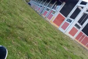 hotel el raton – vista alegre