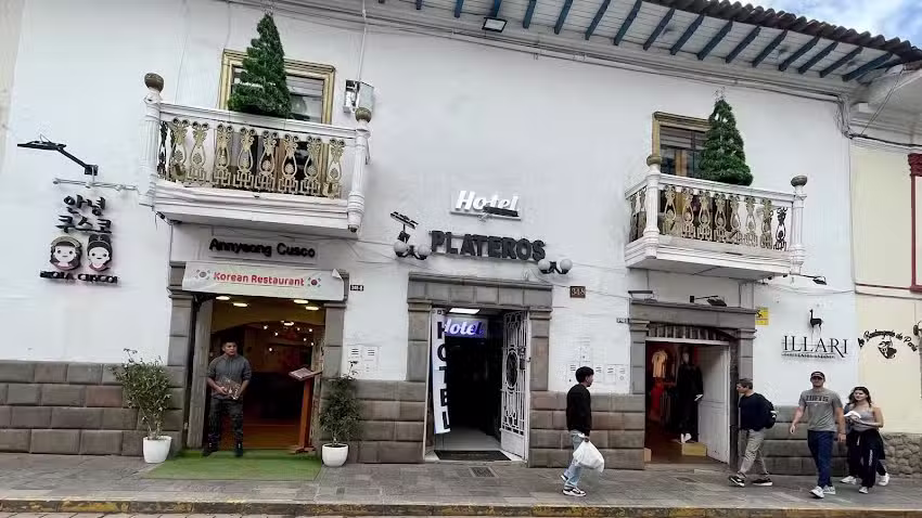 Hotel Plateros
