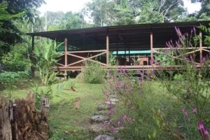 IBAA HOUSE Tambopata