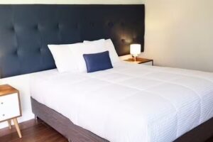 IFE B&B (Inka Frog Exclusive)