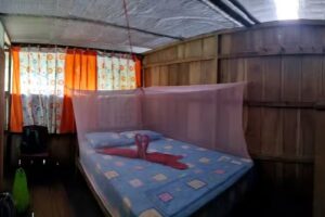 Jungle Wolf Expedition Lodge