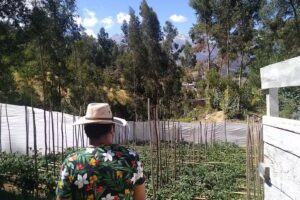 La casita de un amor bonito A