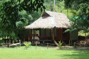 La Habana Amazon Reserve