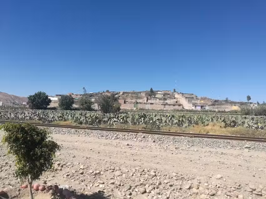 La Joya Housing and adventures.