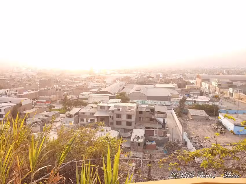 La Selva Escondida de San Juan de Lurigancho