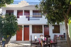 Las Palmeras Eco Hostel