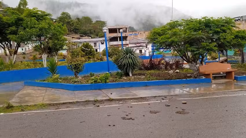 libertad naranjito de camse