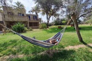 Los Horcones de Tucume