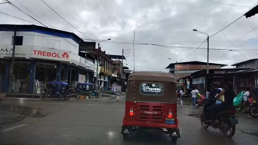 luis magallanes canelo