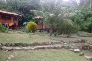 Manu Amazon Lodge – Arpia Lodge