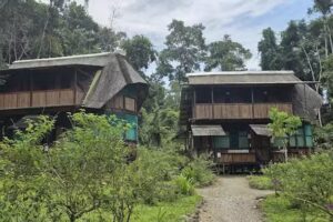 Manu Learning Centre