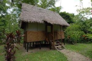 Manu Wildlife Center