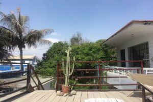 Moksha Yoga and Surf Hostel