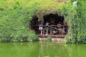 Parque de las leyendas Zona Selva