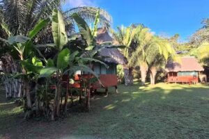 Peru Amazon Garden Lodge