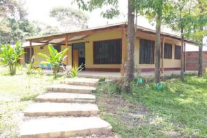 Peru Selva Tarapoto Lamas Linda