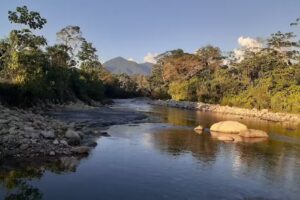 Puerto Inca – Pucallpa