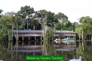 RESERVA NATURAL YAVARY TUCANO – PERÚ