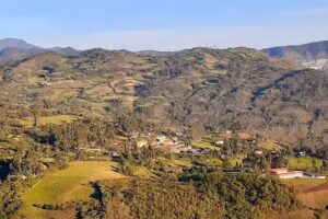 San Martin del Mango