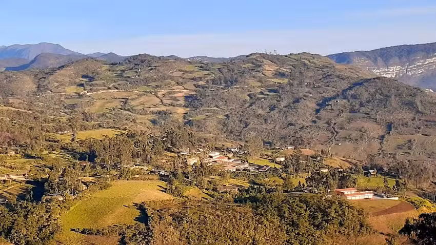 San Martin del Mango