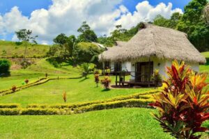 Sauce Lodge – Laguna Azul