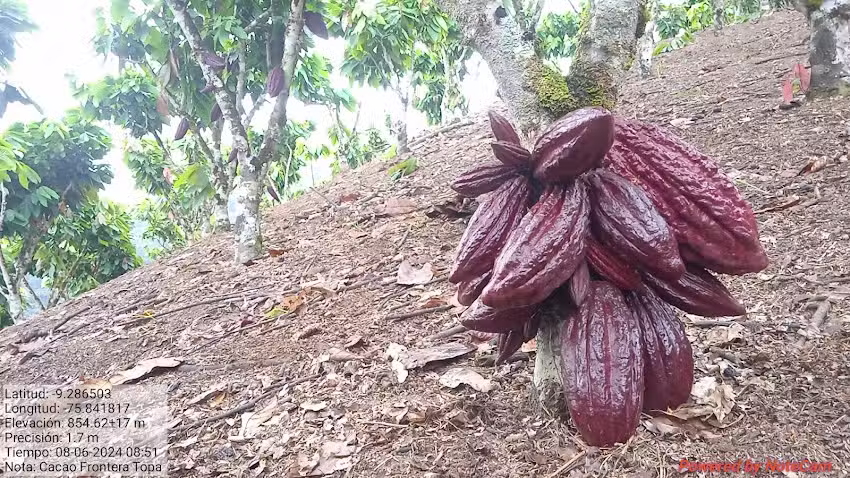 Sector Frontera Topa