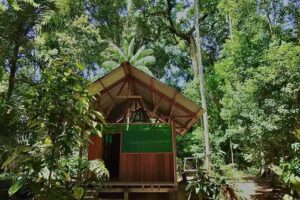 shiringa camp tours and adventures