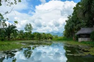 Spring’s Hotel Perú