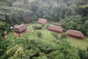 Tambopata Lodge Inn – Rainforest Expeditions – Amazon Trips Peru -Macaw Clay Lick – Wildlife Jungle Tours Puerto Maldonado ..