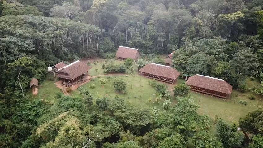 Tambopata Lodge Inn – Rainforest Expeditions – Amazon Trips Peru -Macaw Clay Lick – Wildlife Jungle Tours Puerto Maldonado ..