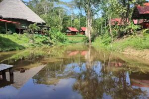 Temple of the Way of Light