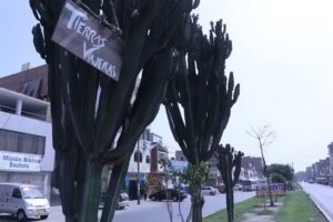 Tierras Viajeras Hostel