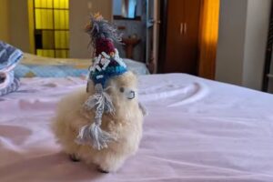 Travel House Guesthouse