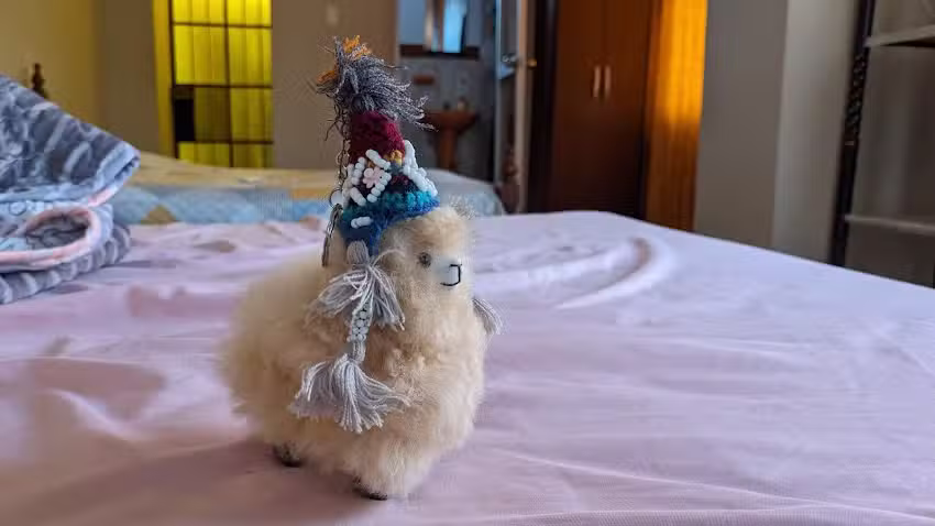 Travel House Guesthouse