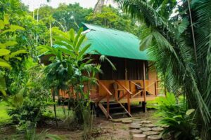 Tronco Tambopata Adventure