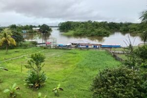 TUCAN JUNGLE EXPEDITION