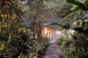 Tunkiwasi Lodge: birdwatching, nature and history