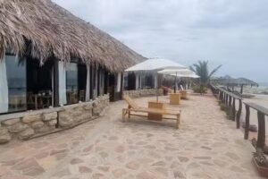 Waltako Beach Culture