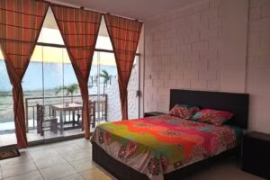 Zorritos backpackers